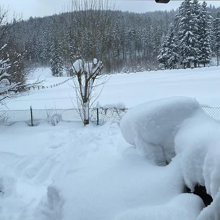 Pokój U Zosi Apartamento Zakopane